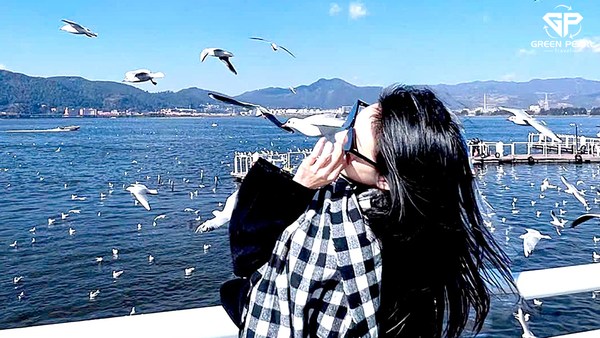 CÔN MINH – LÀNG HOA CẢI DẦU CÁT ĐÊ – VỊNH PHƯỢNG LONG – HỒ ĐIỀN TRÌ (4N4D)