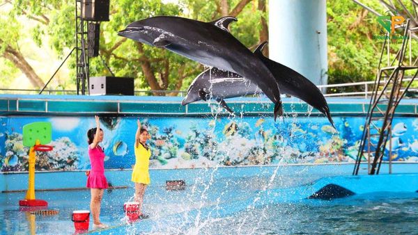 Khách sạn Tuần Châu Resort Hạ Long