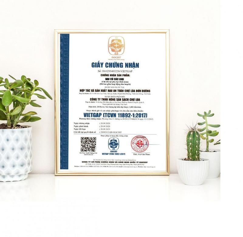 Khi nhập hàng bạn cần yêu cầu giấy chứng nhận để đảm bảo nguồn gốc, xuất xứ rõ ràng