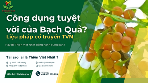 Lợi ích sức khỏe của Dược liệu Bạch quả đối với sức khỏe