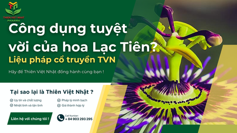 Tác dụng tuyệt vời của hoa Lạc Tiên