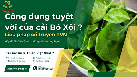 Cải bó xôi quen thuộc và tác dụng tuyệt vời của nó !