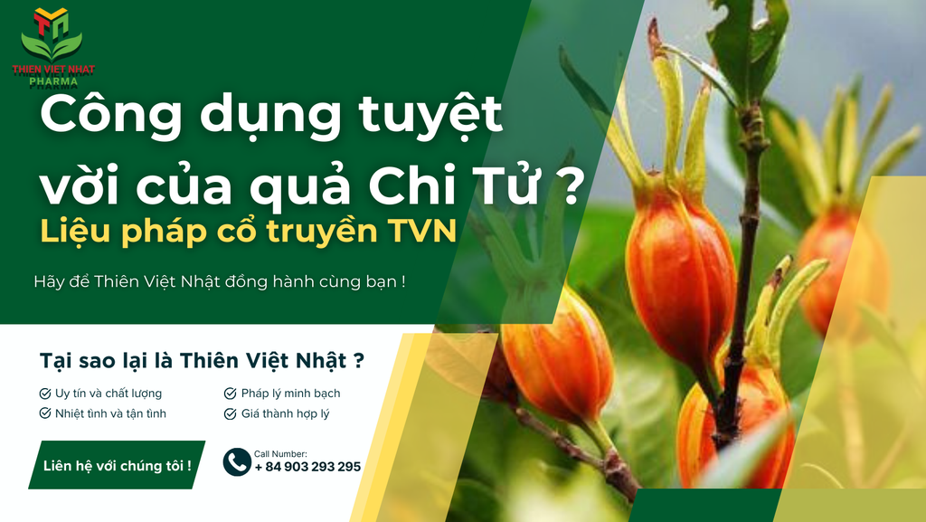 Cao Quả Chi Tử ( dành dành ) hỗ trợ điều trị bệnh gì ?