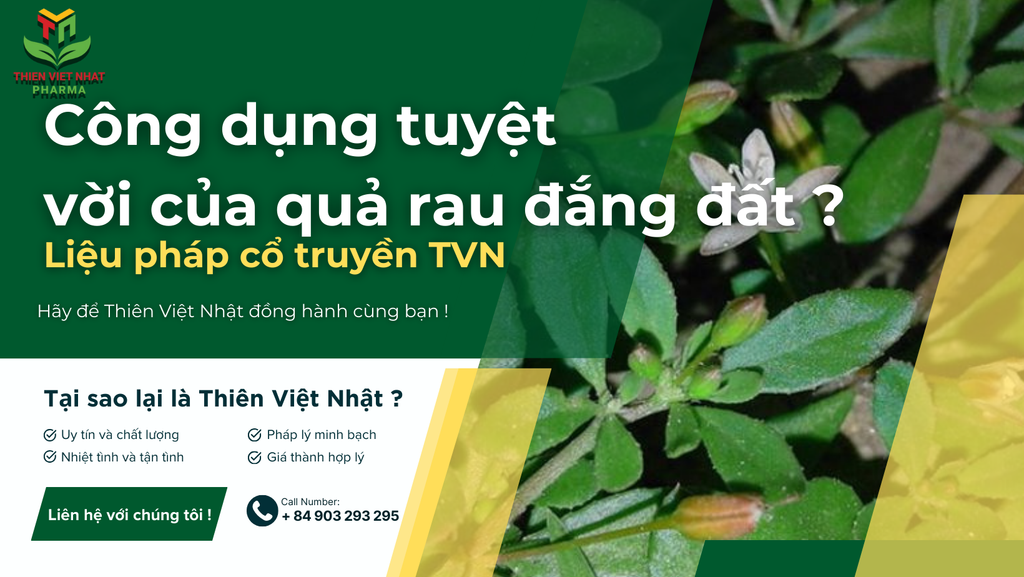 Rau đắng đất có tác dụng gì ?