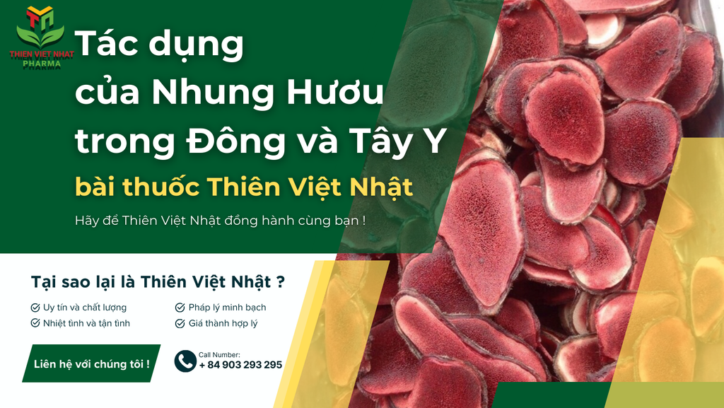 Bột Nhung Hươu có tác dụng gì trong Đông Y và Tây Y ?