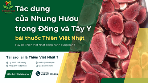 Bột Nhung Hươu có tác dụng gì trong Đông Y và Tây Y ?