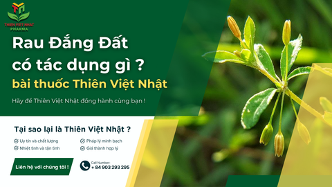 Rau đắng đất có tác dụng gì ?
