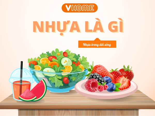 NHỰA LÀ GÌ? TỔNG QUAN VỀ VẬT LIỆU KHÔNG THỂ THIẾU TRONG ĐỜI SỐNG