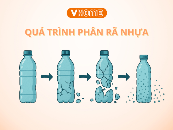 PHÂN RÃ NHỰA LÀ GÌ? GIẢI MÃ QUÁ TRÌNH BIẾN NHỰA THÀNH VI NHỰA VÀ NANO NHỰA