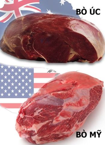 SO SÁNH THỊT BÒ MỸ VÀ THỊT BÒ ÚC: NÊN CHỌN LOẠI NÀO CHO MÓN NGON CỦA BẠN?