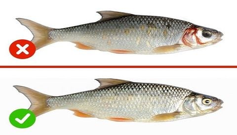CÁC BÍ QUYẾT PHÂN BIỆT THỰC PHẨM TƯƠI NGON
