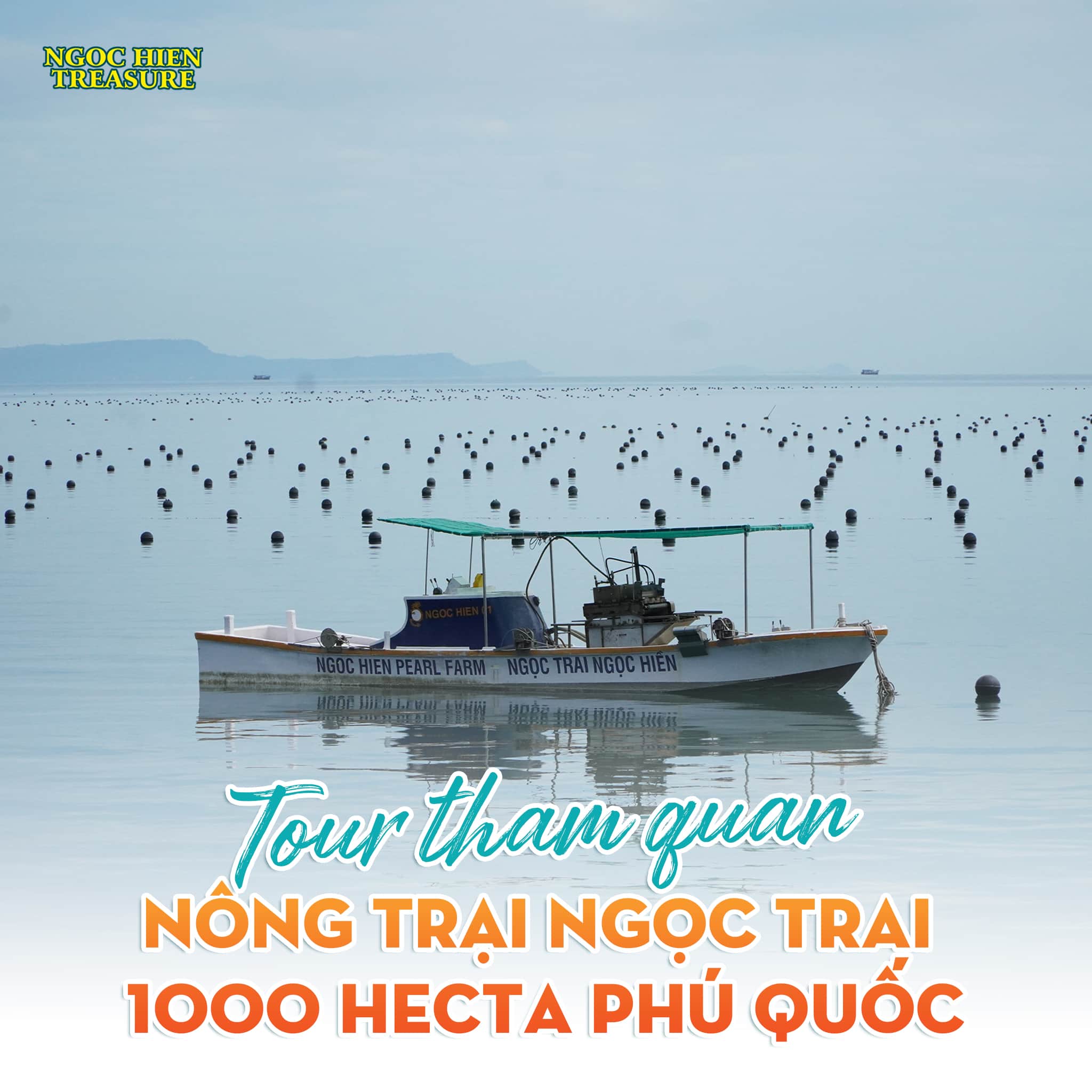 Ngoc Hien Pearl Farm – Đơn vị độc quyền nuôi cấy trai Maxima tại Việt Nam