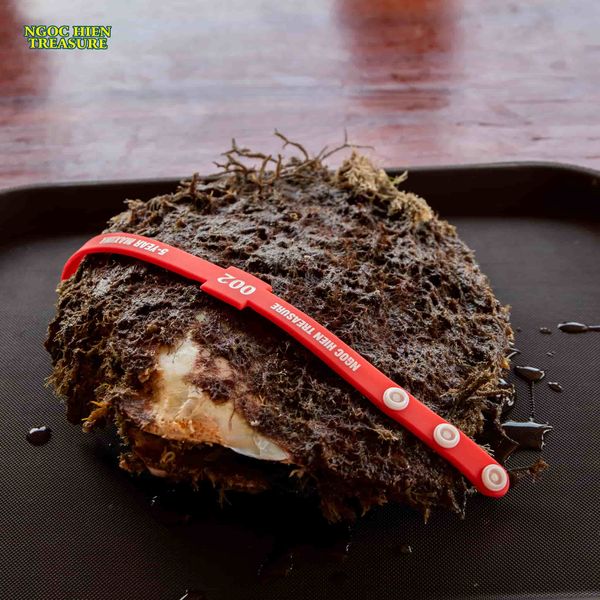 ​​​​​​​Ngọc trai Maxima Phú Quốc – Viên ngọc quý giữa lòng đại dương tại Ngoc Hien Treasure