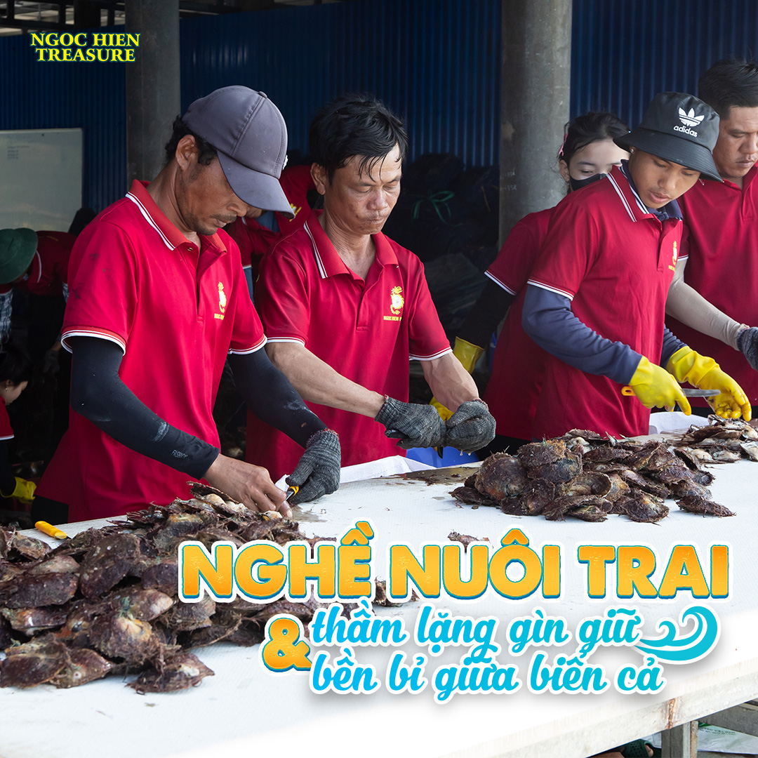 Nghề nuôi trai – lời cam kết thầm lặng gìn giữ và bền bỉ giữa biển cả