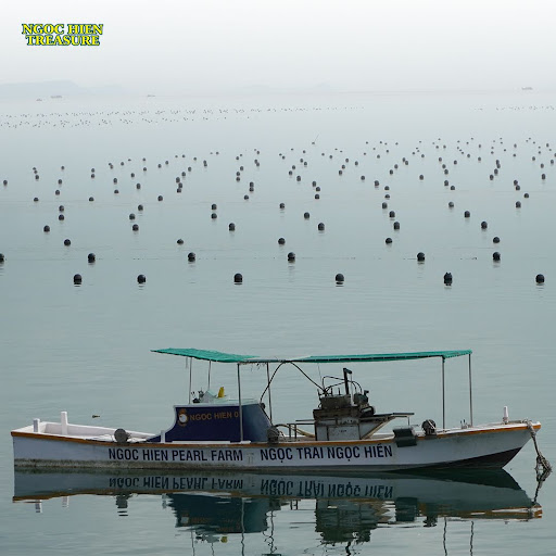 Ngọc Trai Phú Quốc 2025: Hành Trình Giữ Nghề Nuôi Trai Maxima