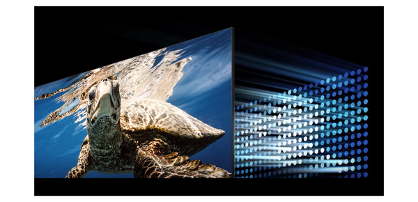 65-inch-qled-q80d-4k-smart-tv-2024