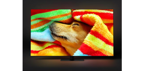 mau-sac-chuan-pantone