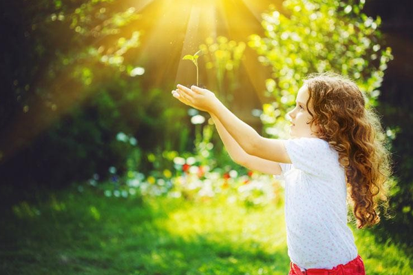 Những Điều Bé Nhỏ Xinh Đẹp – Hành Trình Khám Phá Sự Kỳ Diệu Từ Những Điều Bình Dị