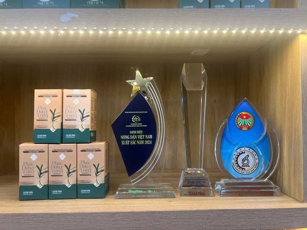 CÂU CHUYỆN VỀ THỰC PHẨM BẢO VỆ SỨC KHỎE PHÚC HƯNG LONG ESSENTIAL