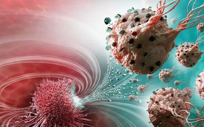 Các giai đoạn ung thư và vai trò của Xáo tam phân trong hỗ trợ điều trị