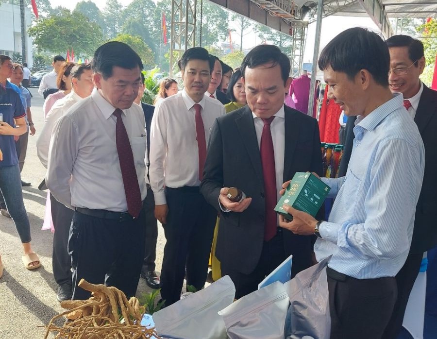 Bảo tồn, phát triển và sản xuất đa dạng các sản phẩm từ cây dược liệu quý Xáo tam phân