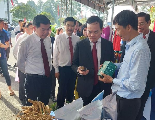 Bảo tồn, phát triển và sản xuất đa dạng các sản phẩm từ cây dược liệu quý Xáo tam phân