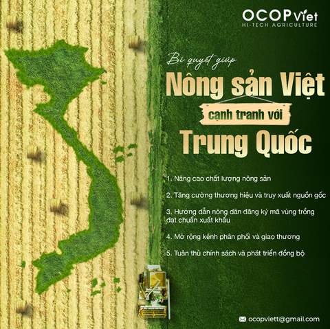 Bí Quyết Giúp Nông Sản Việt Cạnh Tranh Tại Trung Quốc