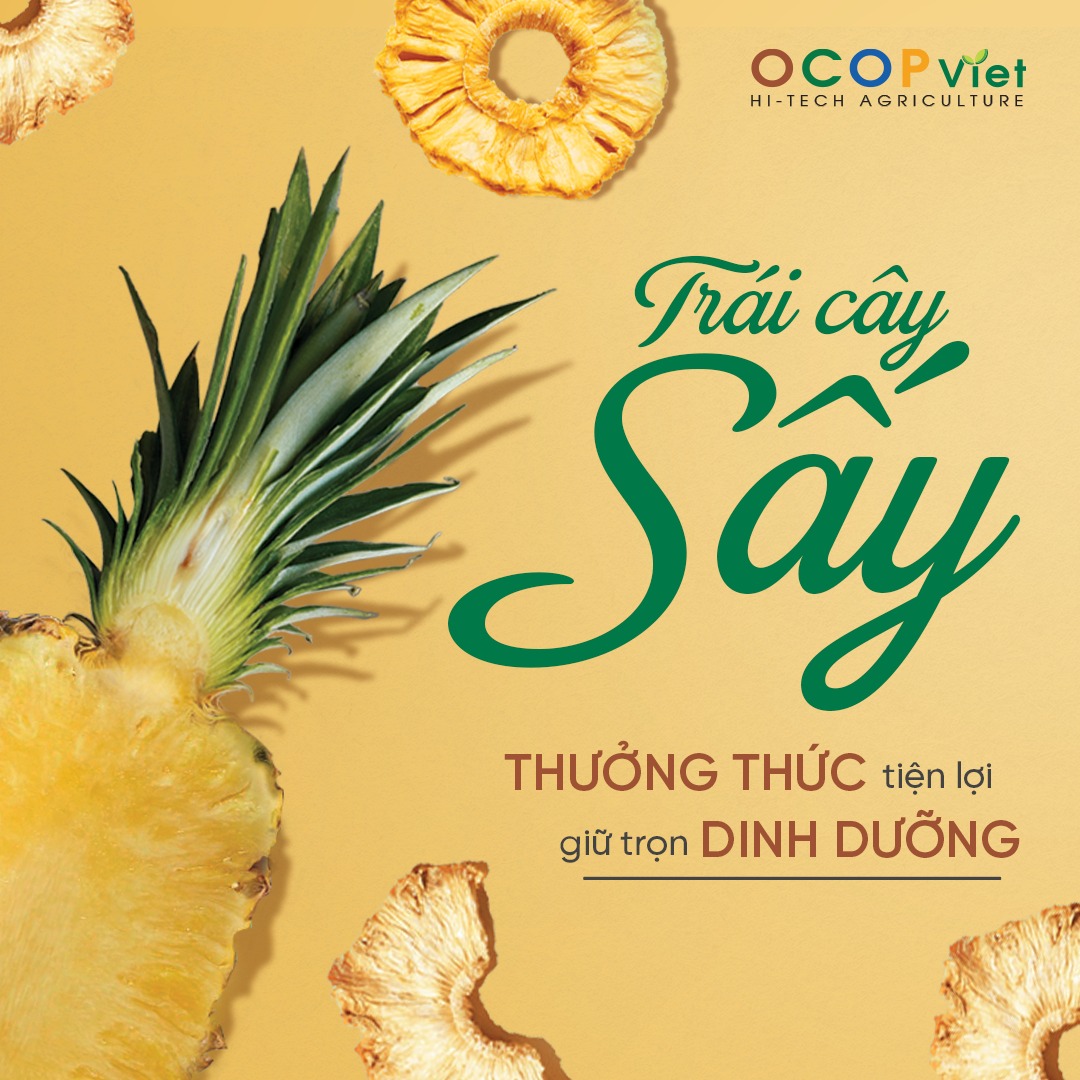 Top 10 Loại Củ Quả Trái Cây Thập Cẩm Sấy Siêu Ngon