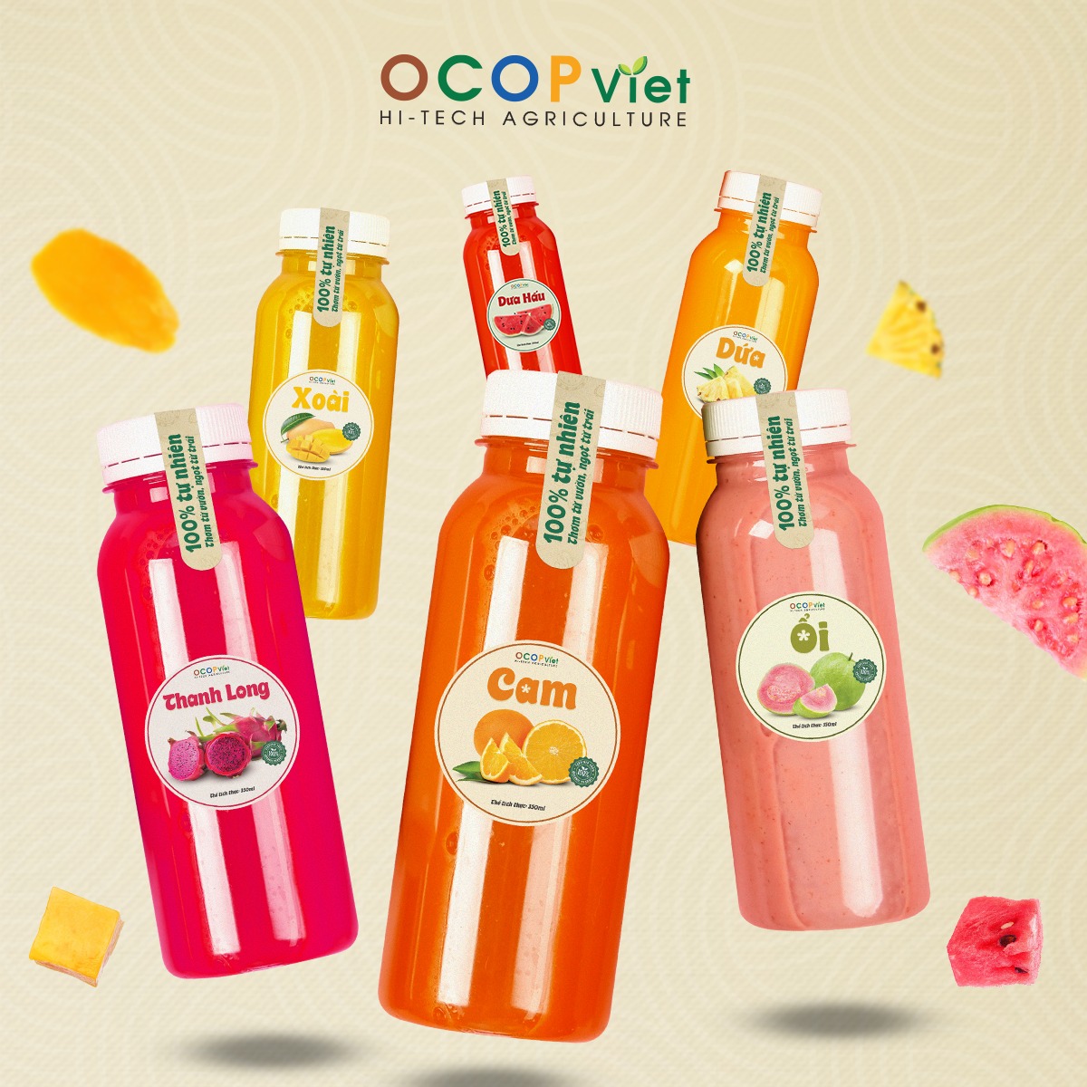 Nước Ép Trái Cây Nguyên Chất: Bí Quyết Khỏe Đẹp Mỗi Ngày