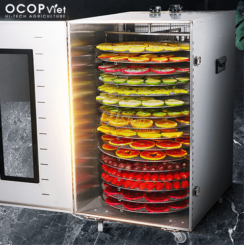 Công Nghệ Sấy Lạnh Trái Cây – Giải Pháp Cho Sức Khỏe