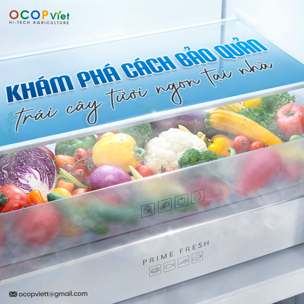 Khám phá cách bảo quản trái cây tươi ngon tại nhà
