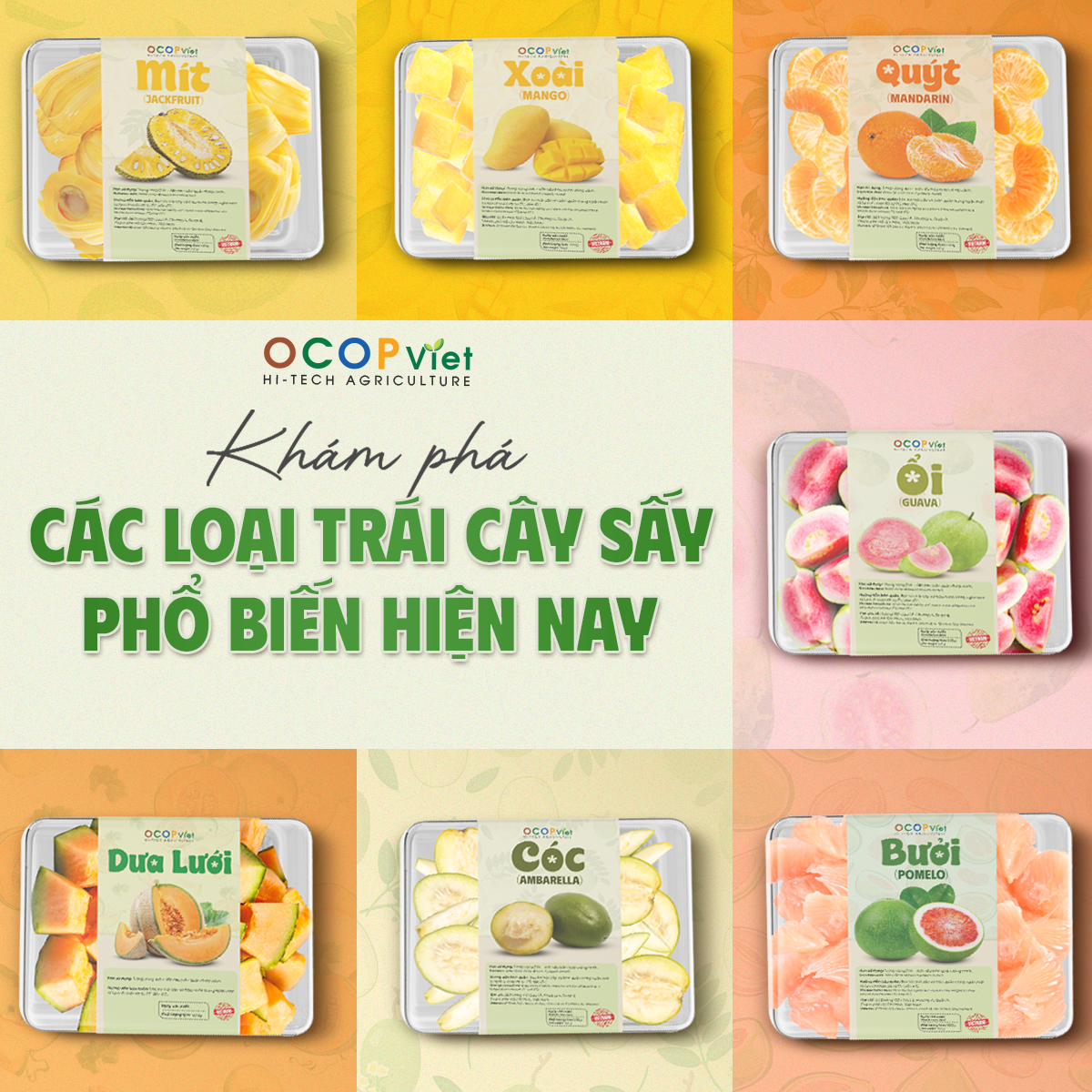 Khám phá các loại trái cây sấy phổ biến hiện nay