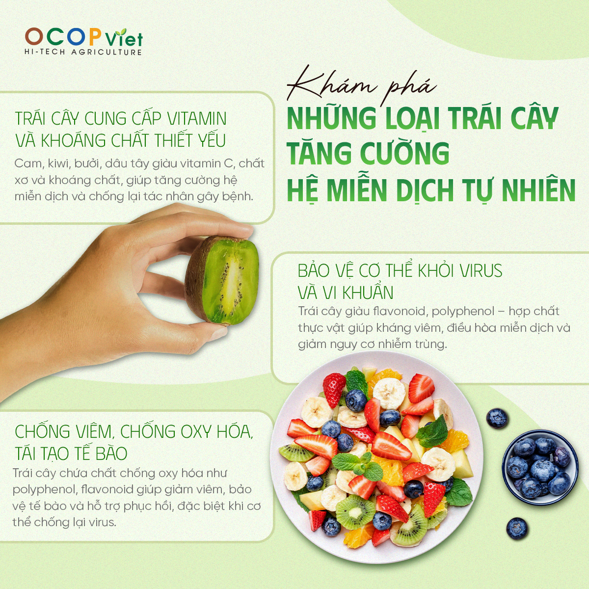 Khám phá những loại trái cây tăng cường hệ miễn dịch tự nhiên