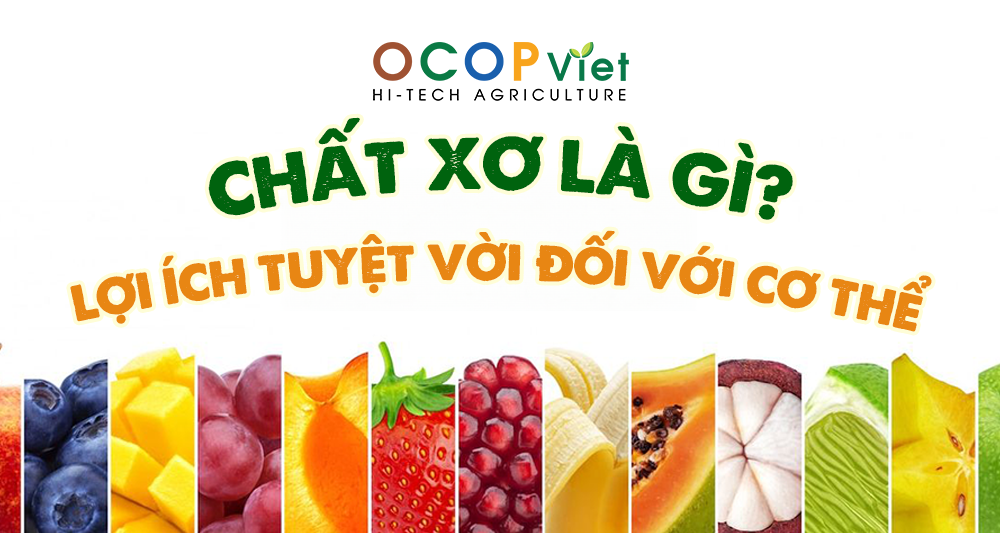Chất Xơ Là Gì? Lợi Ích Tuyệt Vời Đối Với Cơ Thể