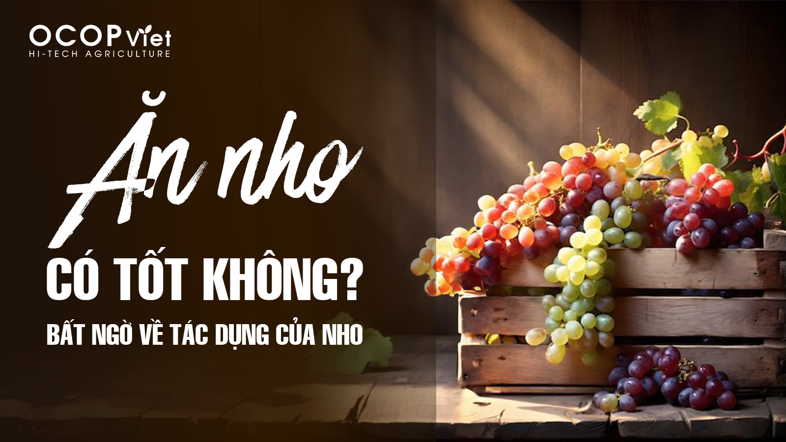 Ăn Nho Có Tốt Không? Bất Ngờ Về Tác Dụng Của Nho