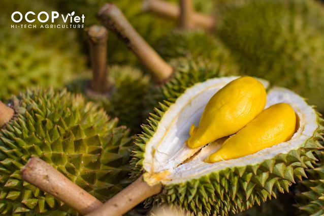 Giá Nông Sản Hôm Nay 7/3/2025 - Cập Nhật Mới Nhất