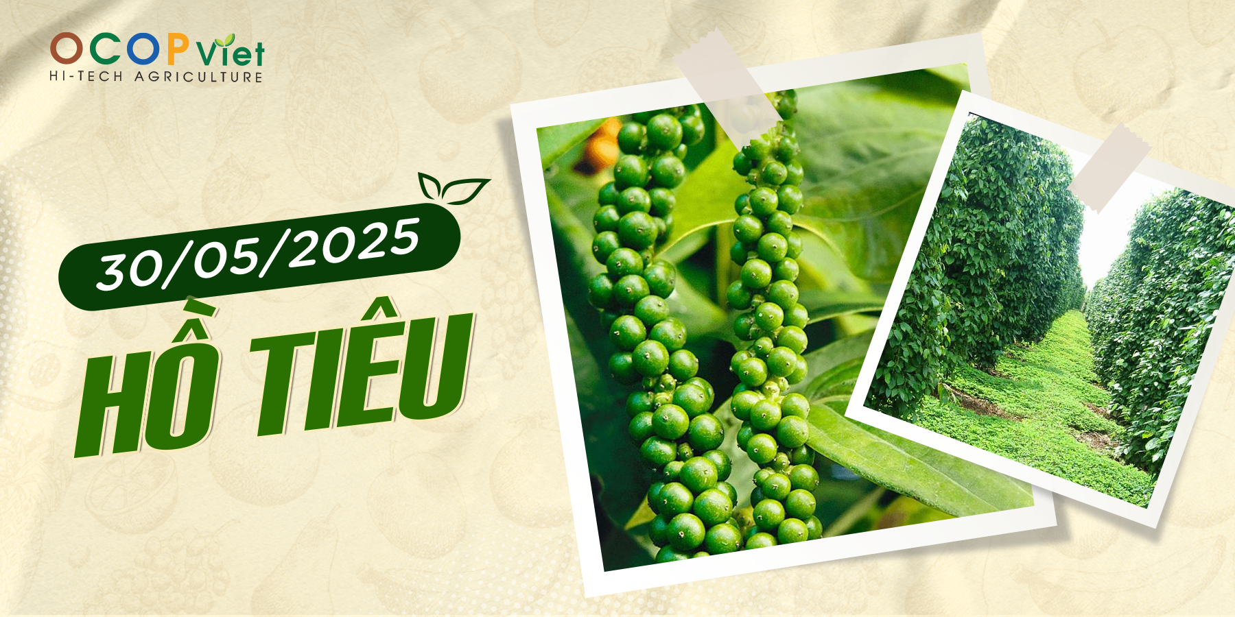Giá Nông Sản Hôm Nay 30/5/2025 - Cập Nhật Mới Nhất
