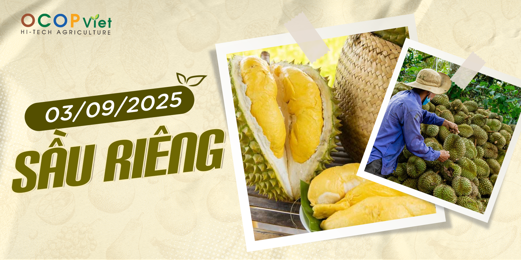 Giá Nông Sản Hôm Nay 3/9/2025 - Cập Nhật Mới Nhất