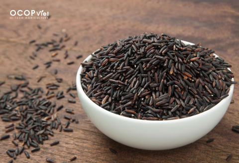 Công dụng của gạo lứt - Không chỉ là giảm cân