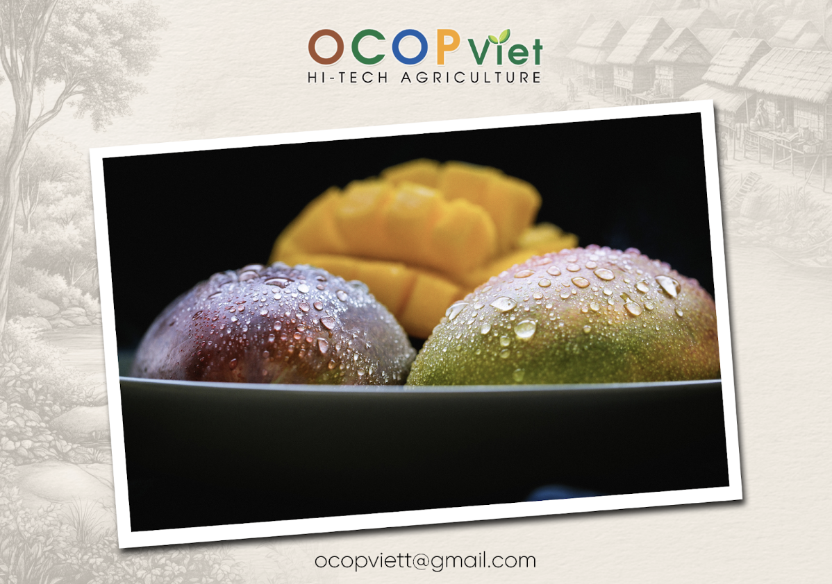 Góc Giải Đáp: Ăn xoài có tốt không?