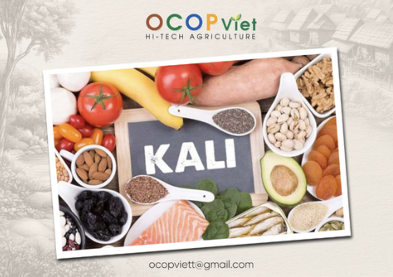 Kali là gì? Kali có trong trái cây nào?