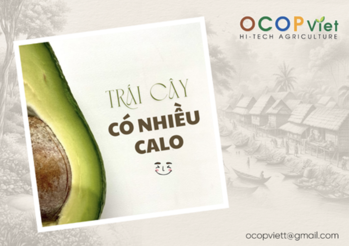 Những Loại Trái Cây Có Hàm Lượng Calo Cao - Bạn Đã Biết?