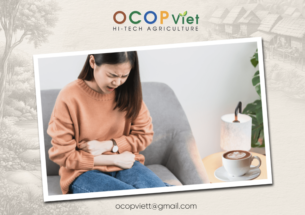 Vì sao uống cà phê bị đau bụng? Có ảnh hưởng gì đến cơ thể không?