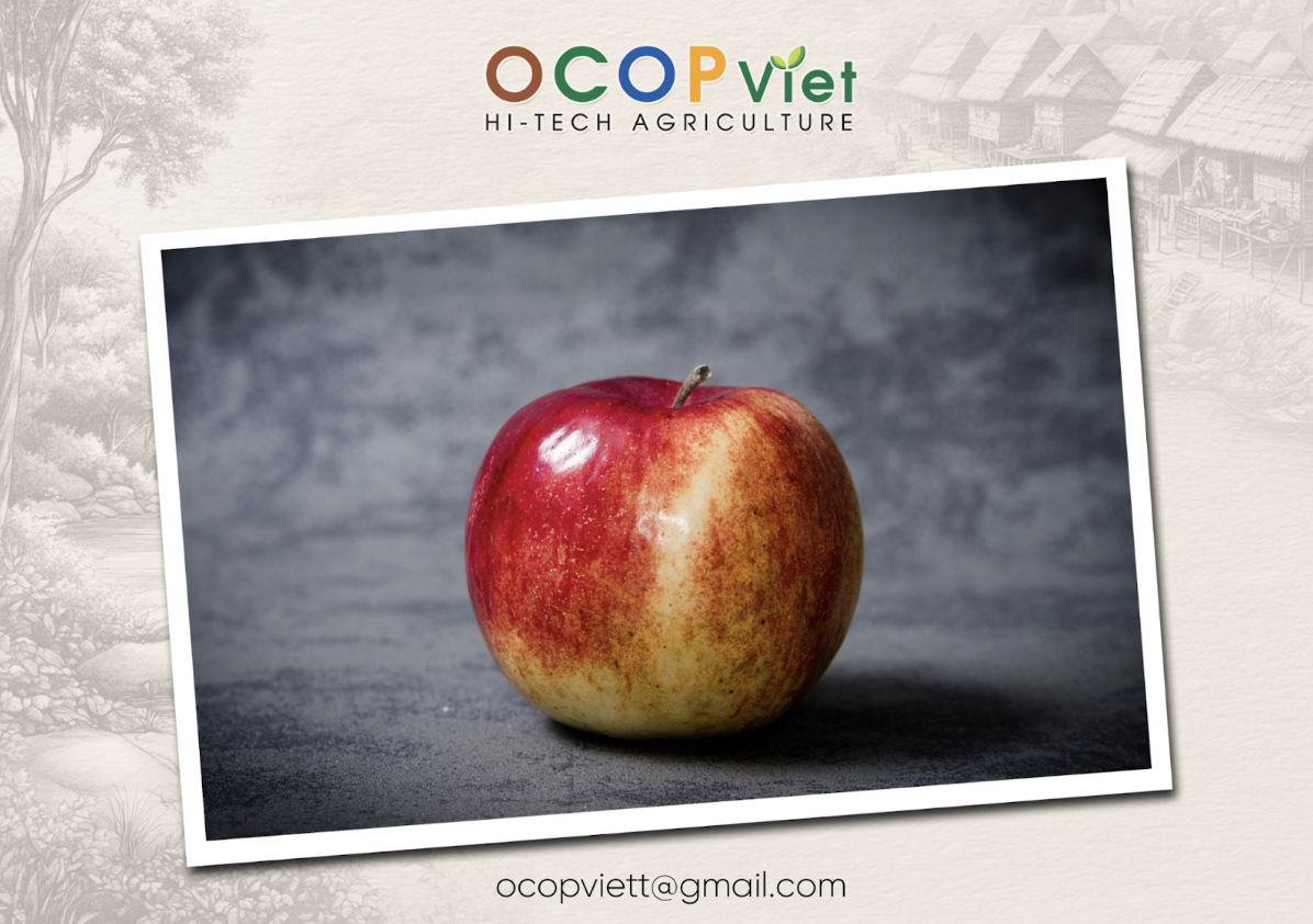 Ăn táo mỗi ngày có được không? Giải đáp và lời khuyên cho bạn