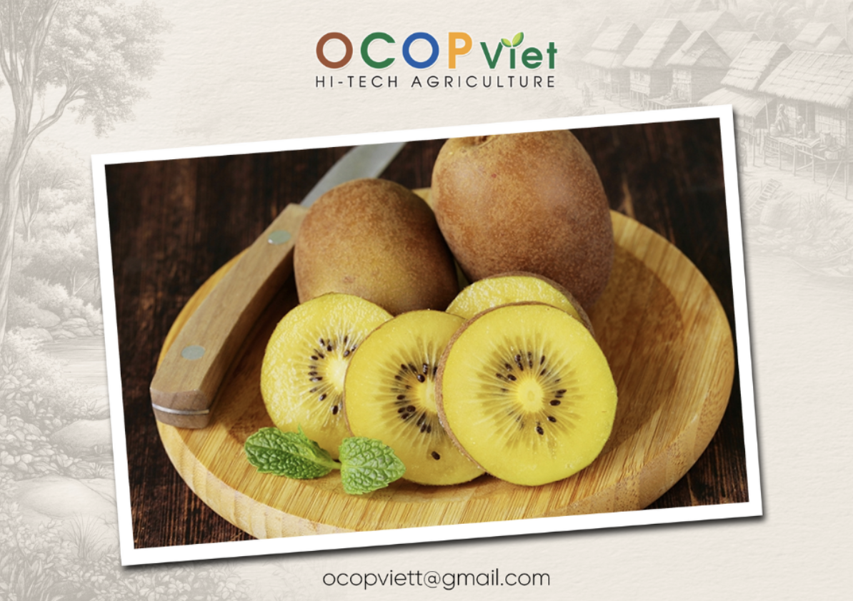 Công dụng quả kiwi vàng. Nên ăn như thế nào mới đúng?
