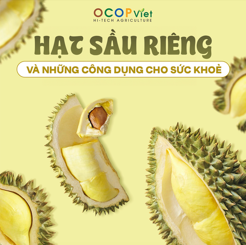 Hạt sầu riêng và những công dụng cho sức khỏe