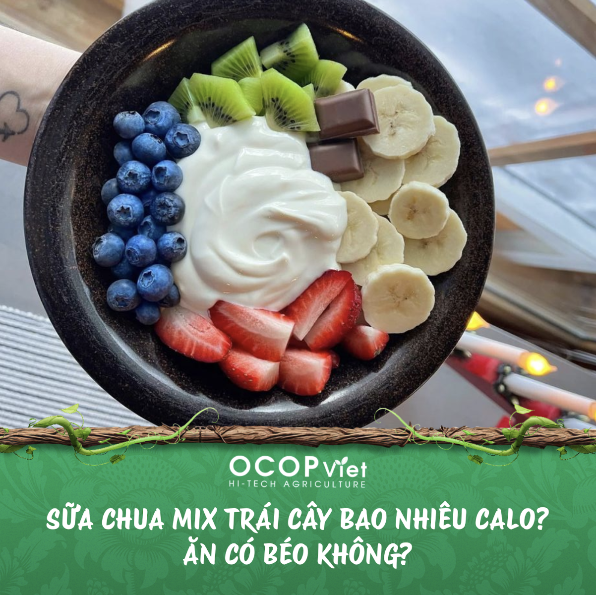 Sữa Chua Mix Trái Cây Bao Nhiêu Calo? Ăn Có Béo Không?