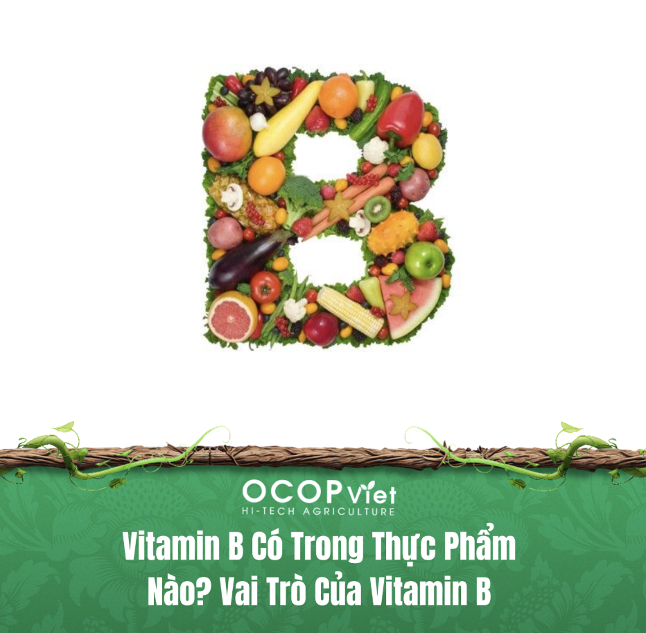 Vitamin B Có Trong Thực Phẩm Nào? Vai Trò Của Vitamin B