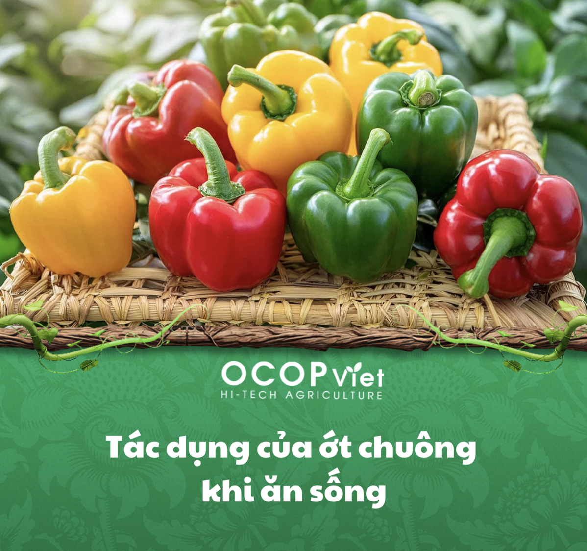 Tác dụng của ớt chuông khi ăn sống