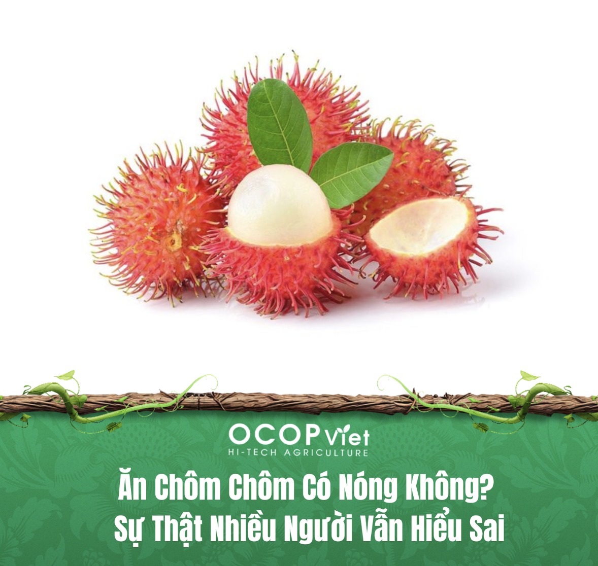 Ăn Chôm Chôm Có Nóng Không? Sự Thật Nhiều Người Vẫn Hiểu Sai
